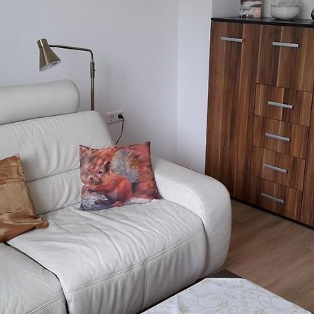 Ferienwohnung Christel Hirschhorn-Neckar 外观 照片