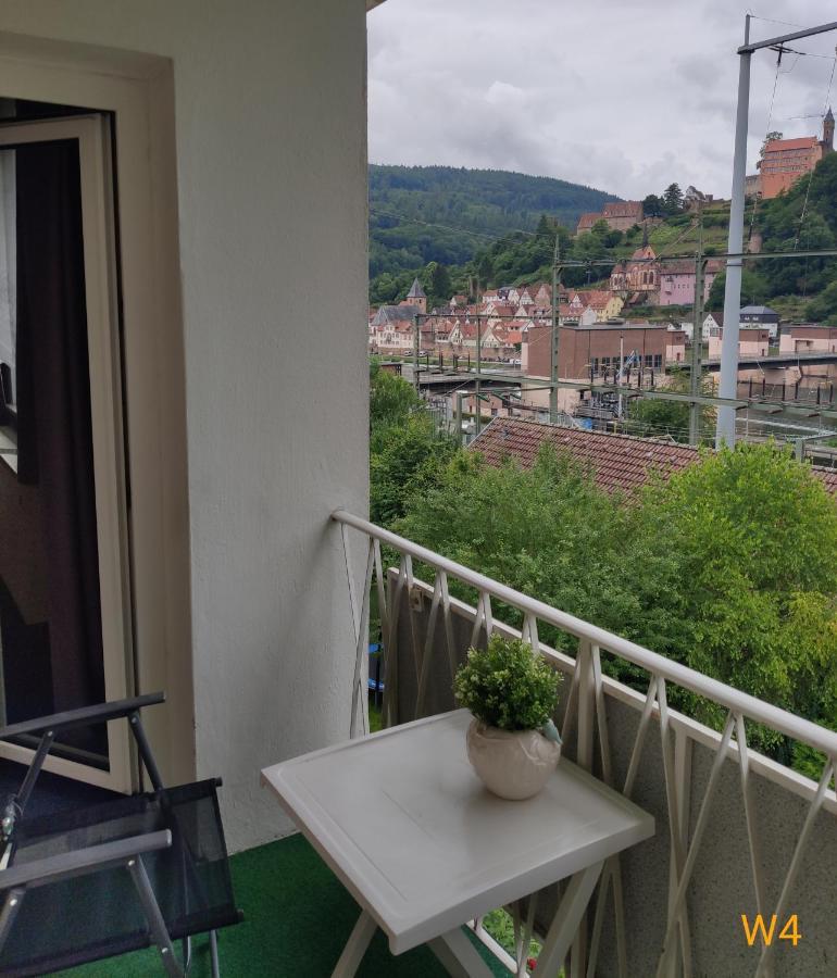 Ferienwohnung Christel Hirschhorn-Neckar 外观 照片