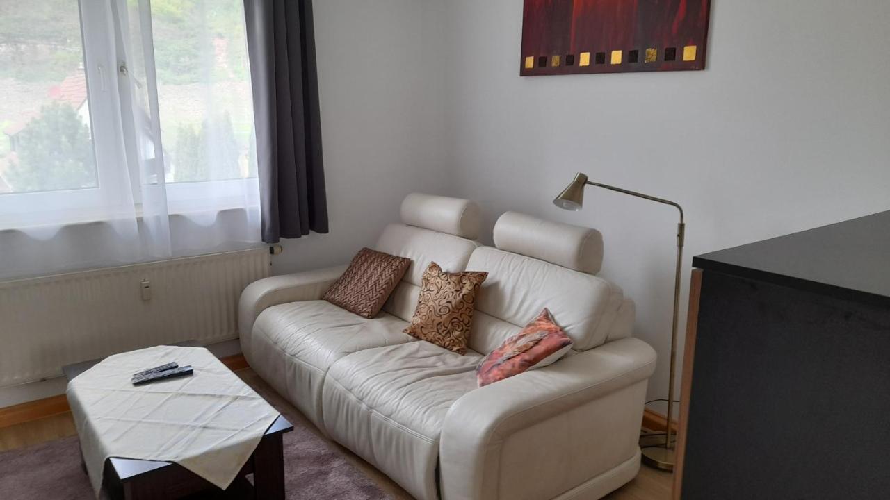 Ferienwohnung Christel Hirschhorn-Neckar 外观 照片