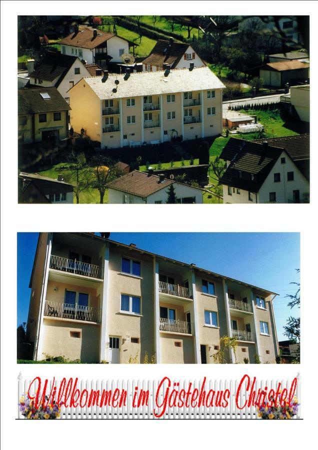 Ferienwohnung Christel Hirschhorn-Neckar 外观 照片