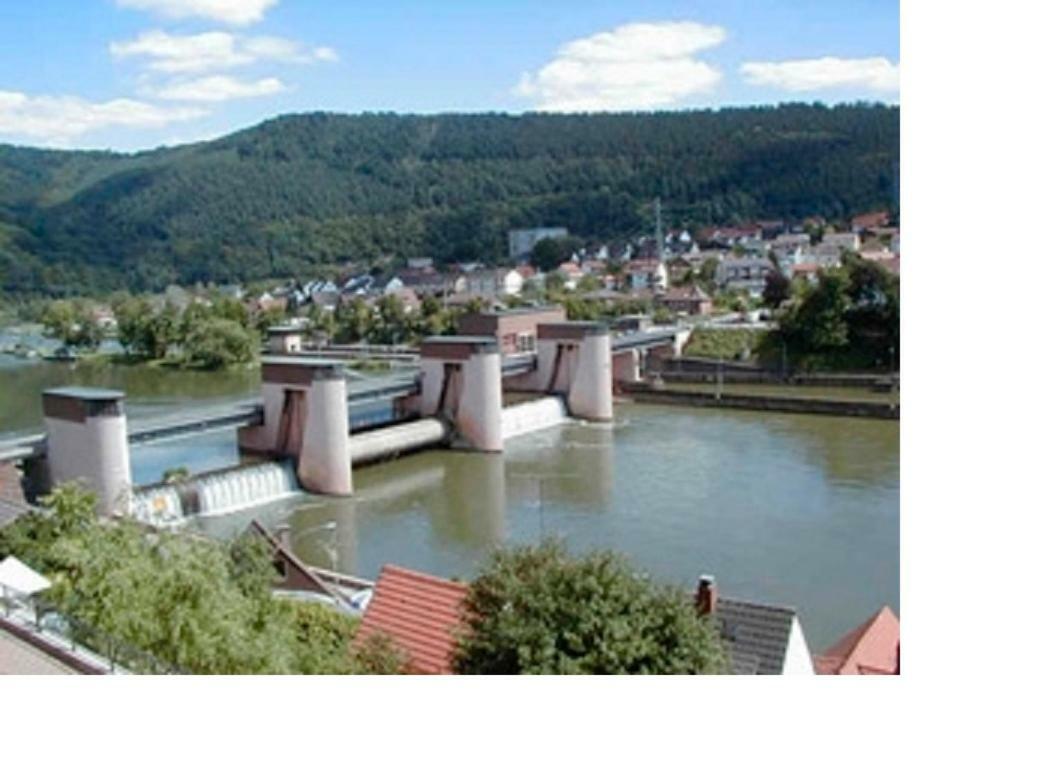 Ferienwohnung Christel Hirschhorn-Neckar 外观 照片