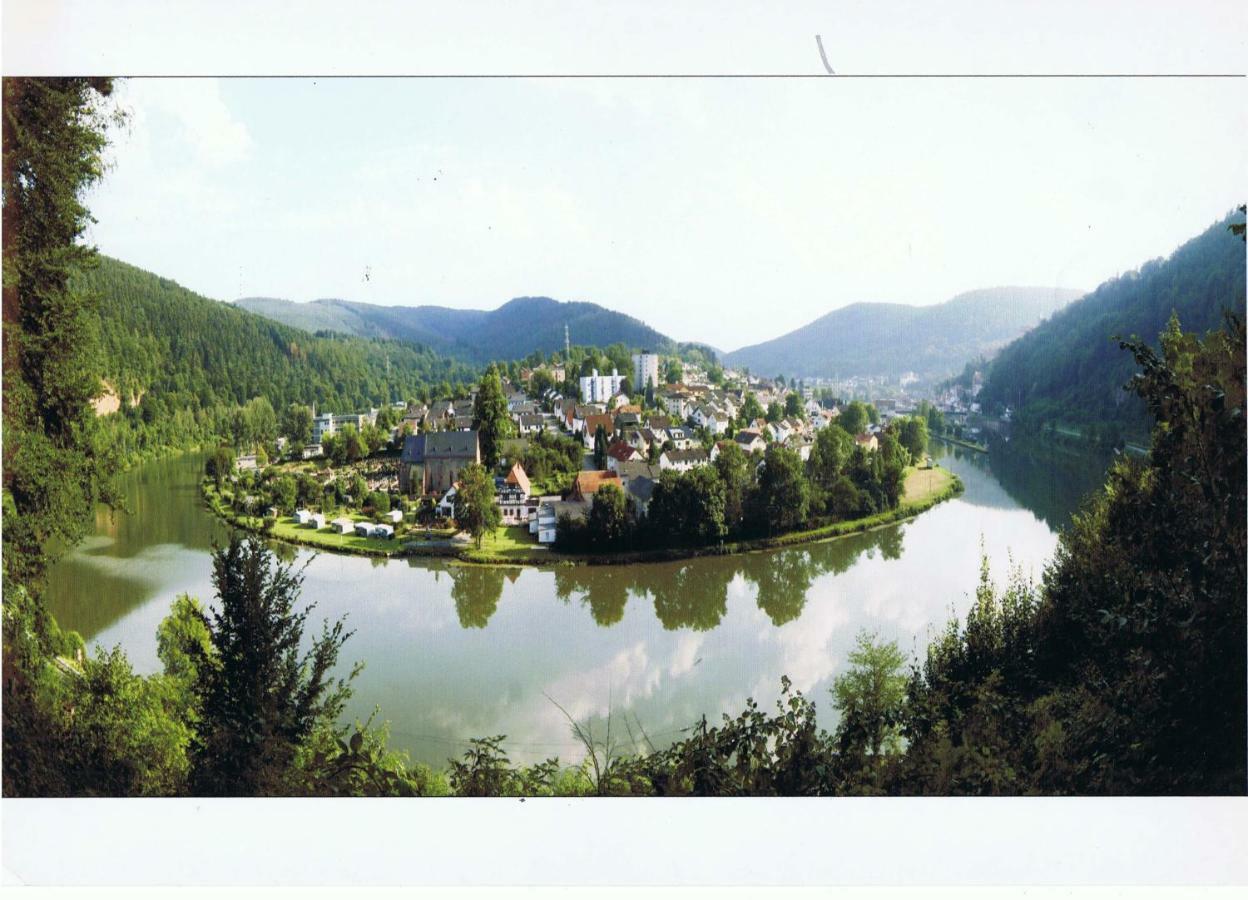 Ferienwohnung Christel Hirschhorn-Neckar 外观 照片